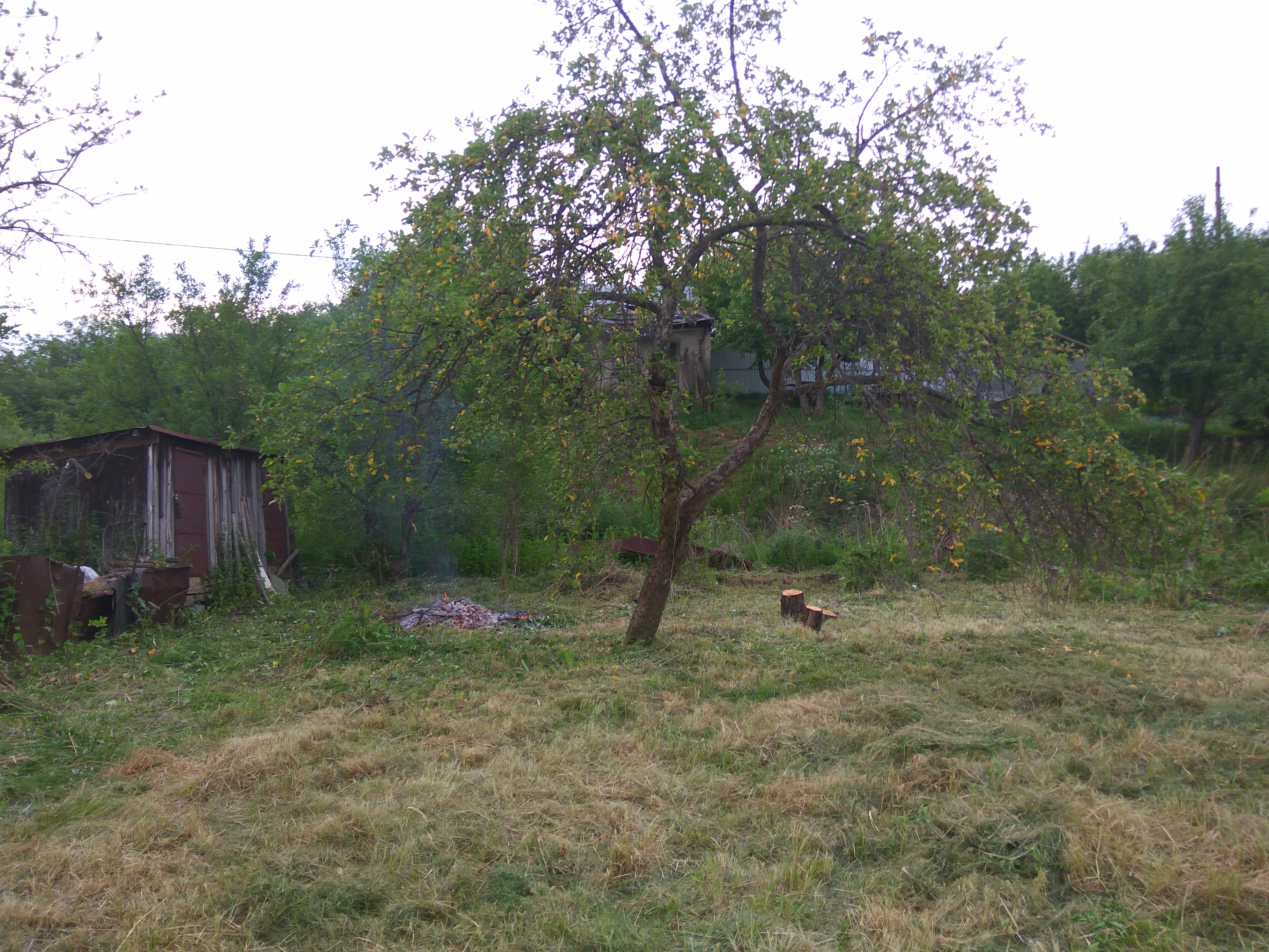 Купить Дачу В Афонино Нижегородской