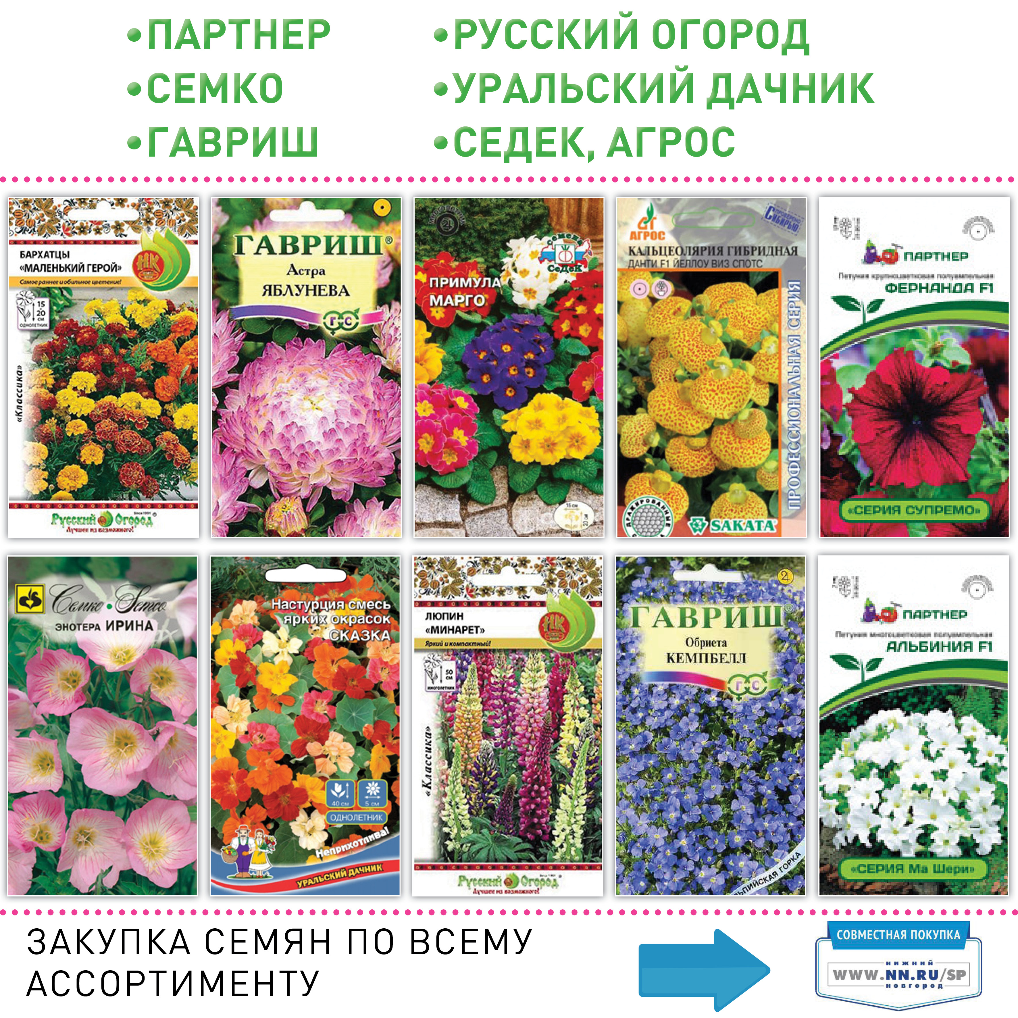 Бесплатный каталог цветов. Семена цветов. Каталог семян. Семена цветов почтой. Цветы семена.