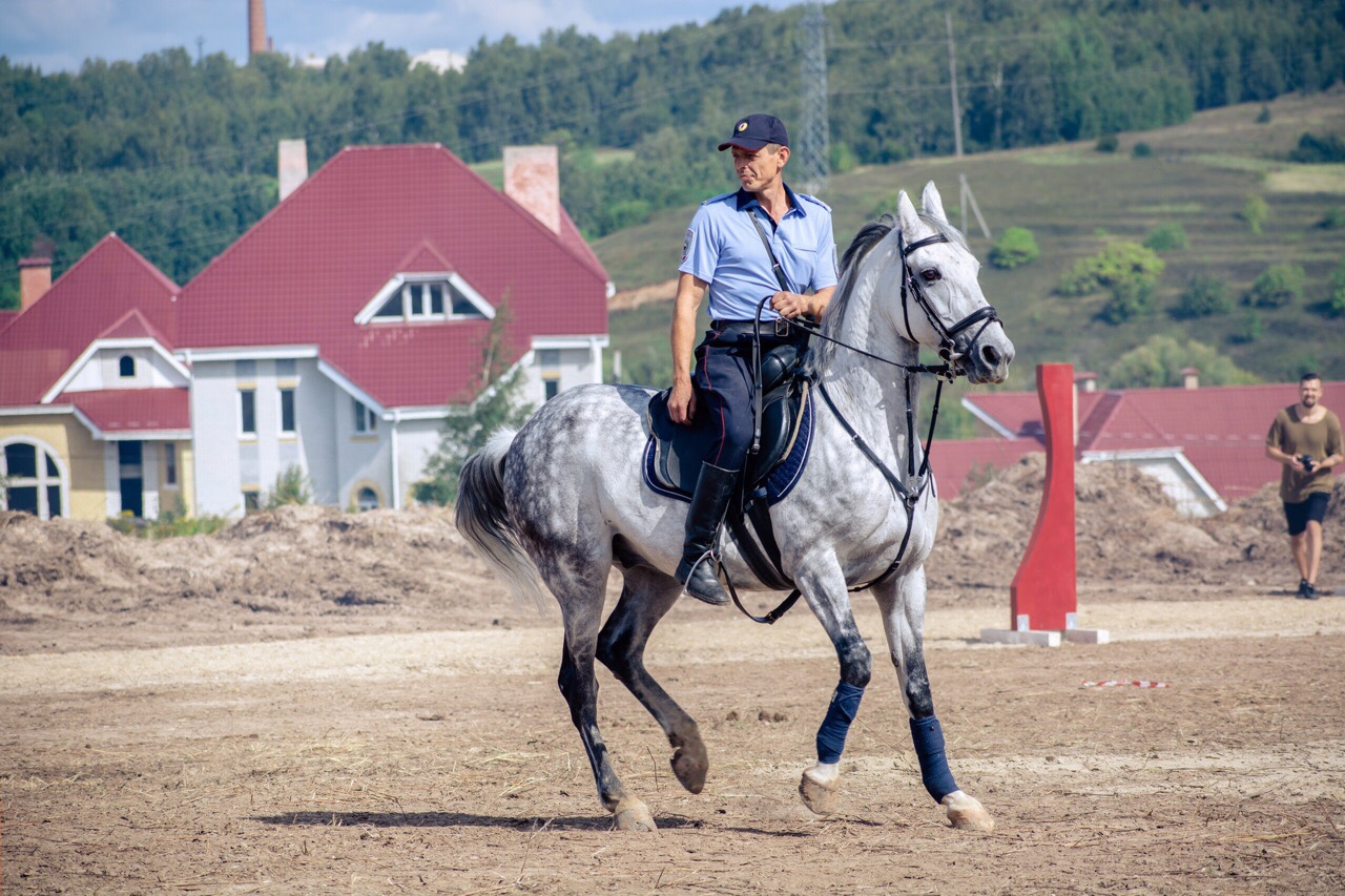 Вегас кск