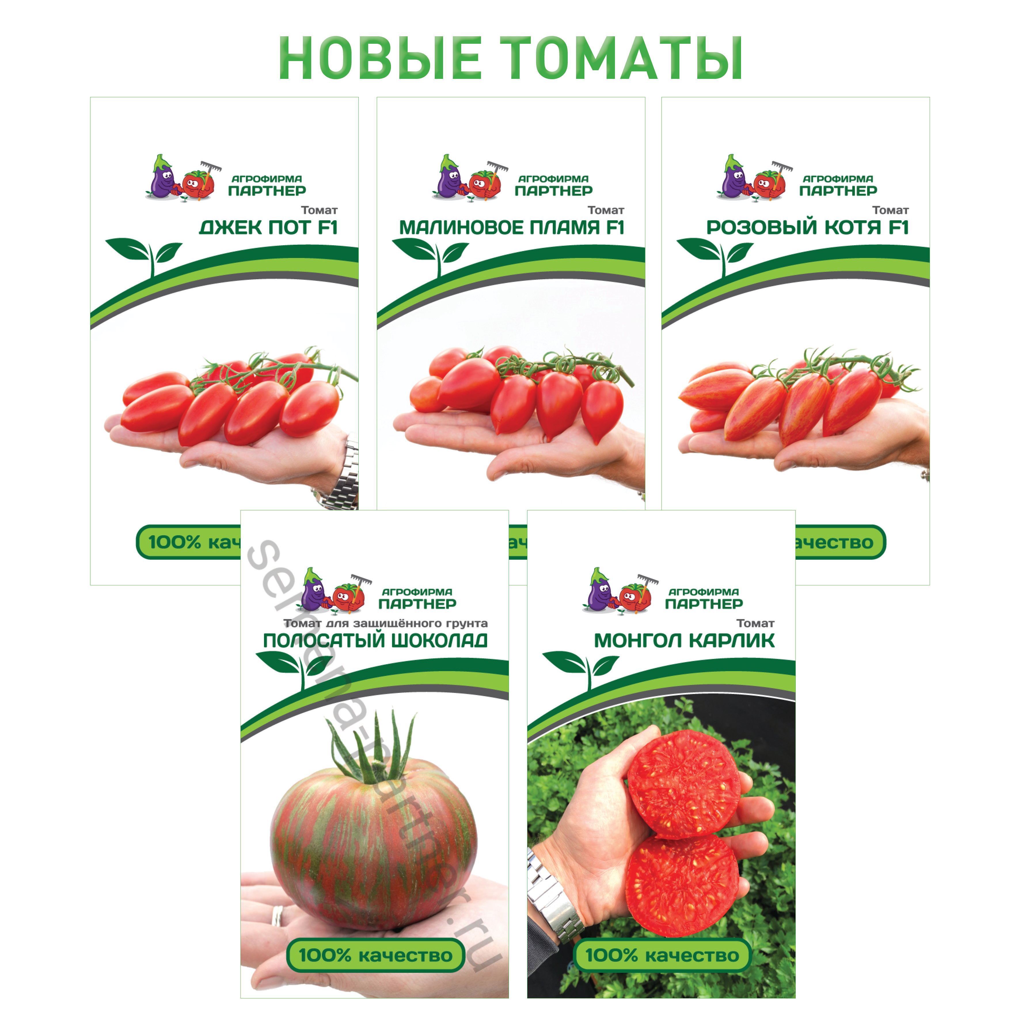 купить томат джекпот от агрофирмы партнер в интернет магазине