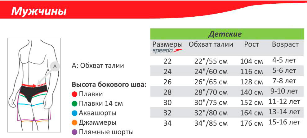 Обхват 30 см. Плавки speedo Размерная сетка. Speedo Размерная сетка плавок. Плавки для мальчиков Размерная сетка. Плавки speedo 34 Размерная сетка.