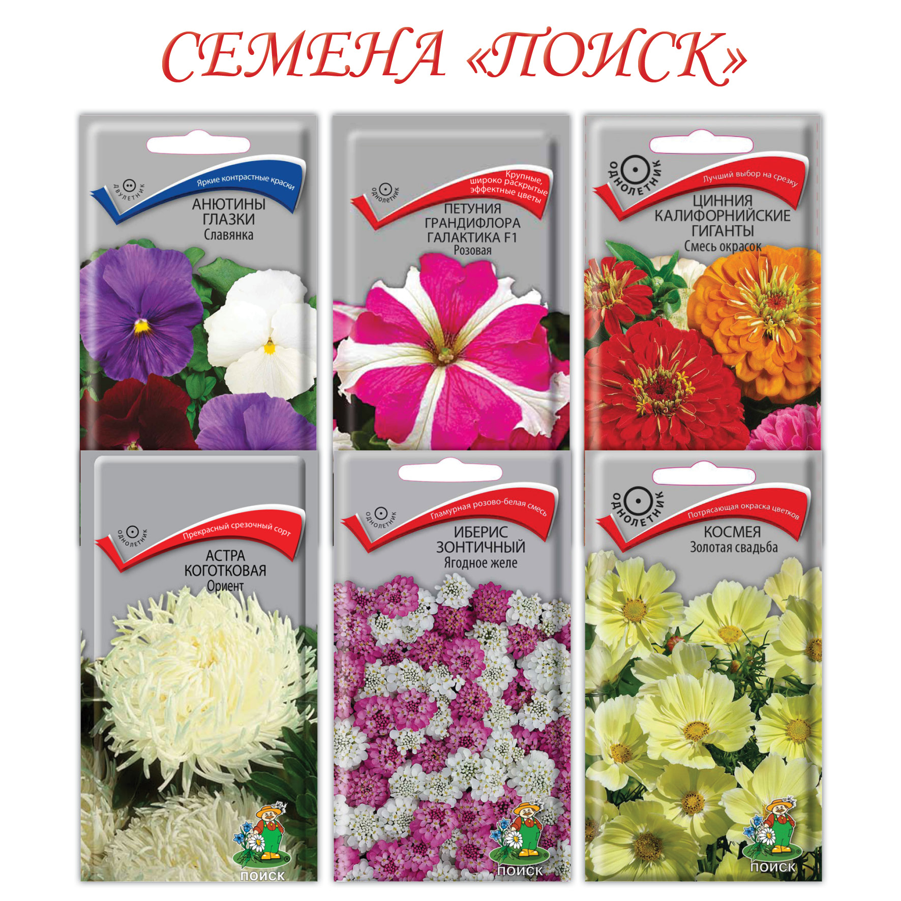 Купить Профессиональные Семена Цветов Оптом