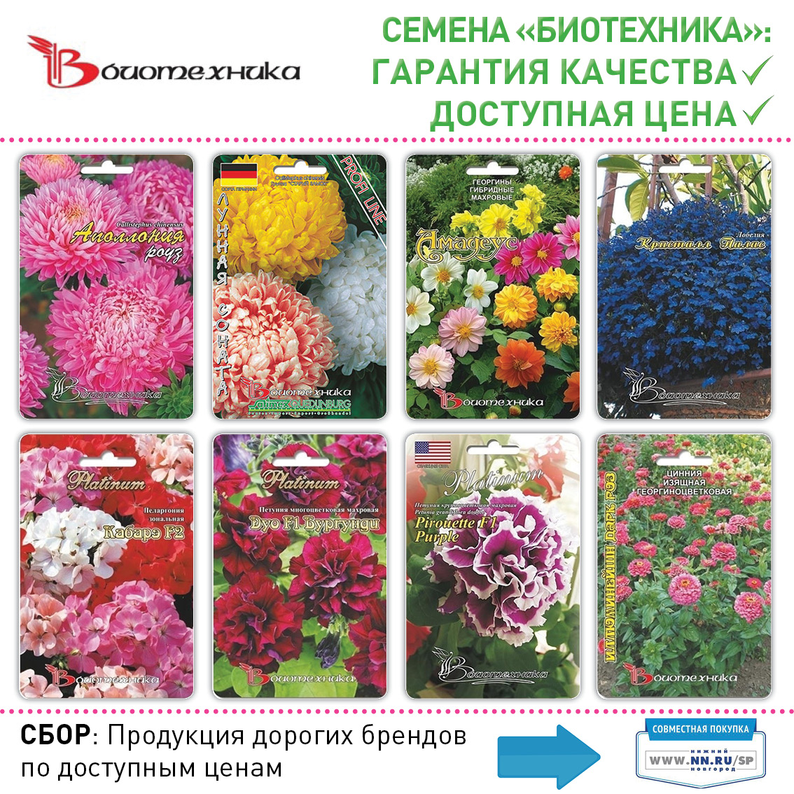 Агрофирма Купить Семена Цветов