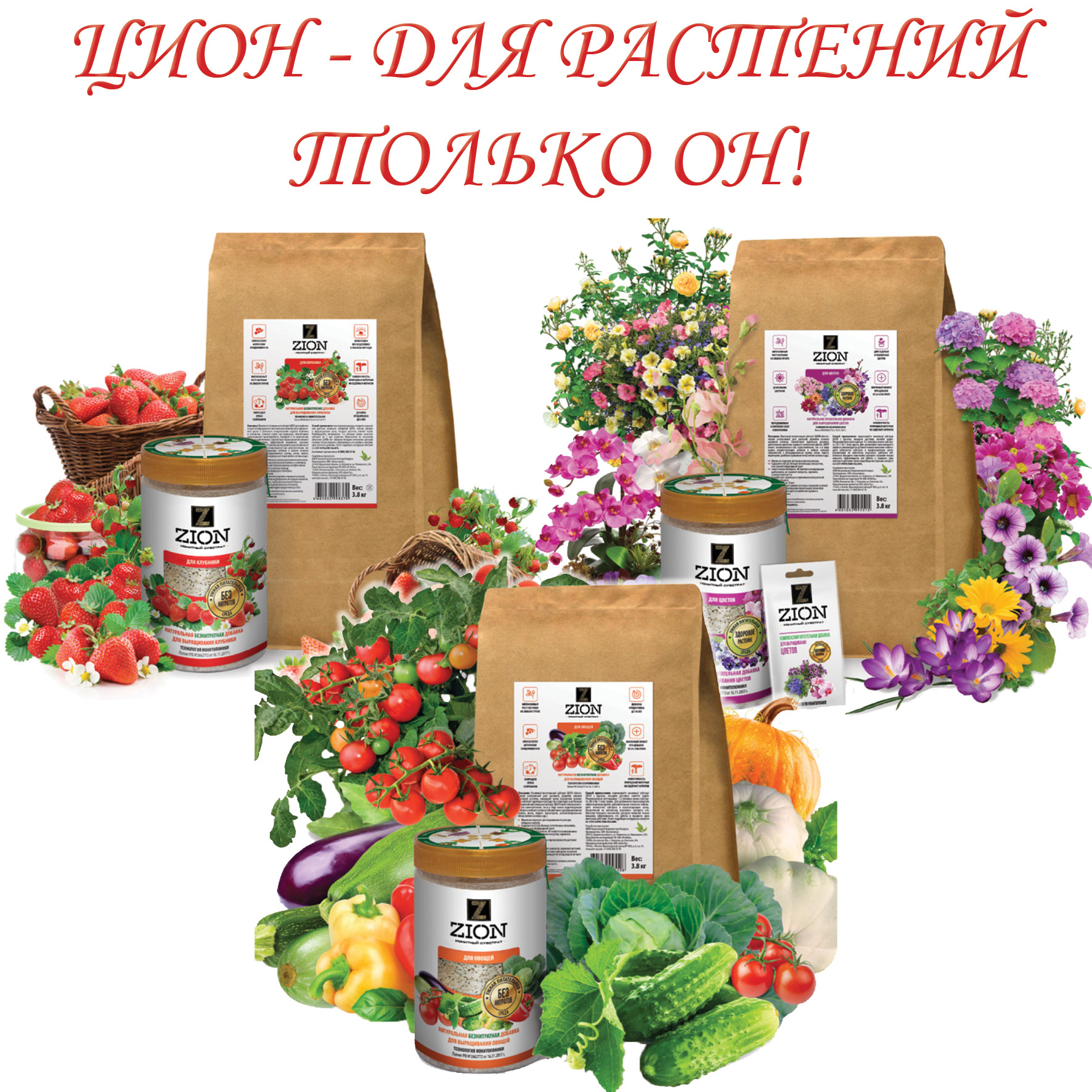 Магазин Дачник Пермь