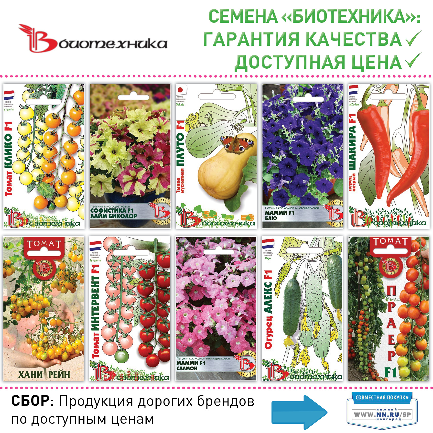 Биотехника розница. Семена от Биотехники. Агрофирма Биотехника. Семена фирмы Биотехника. Каталог семян.