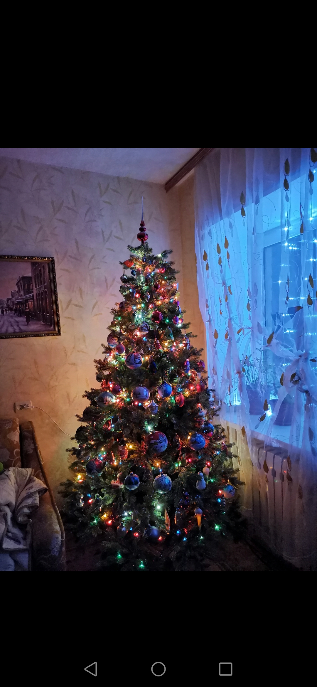 Кот и елка. Опять елки. Коты и елки. Опять елки. Елка журнал.