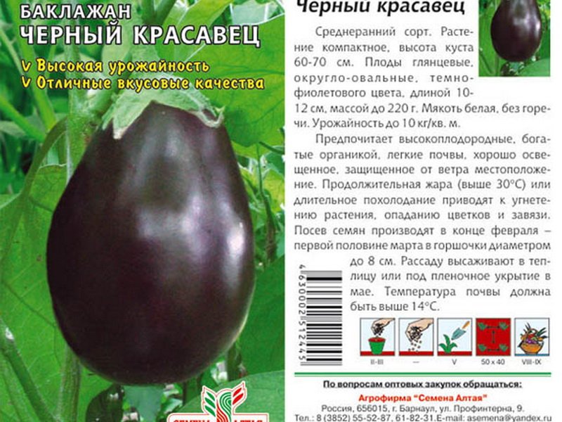 Баклажан Валентина Характеристика Фото Отзывы