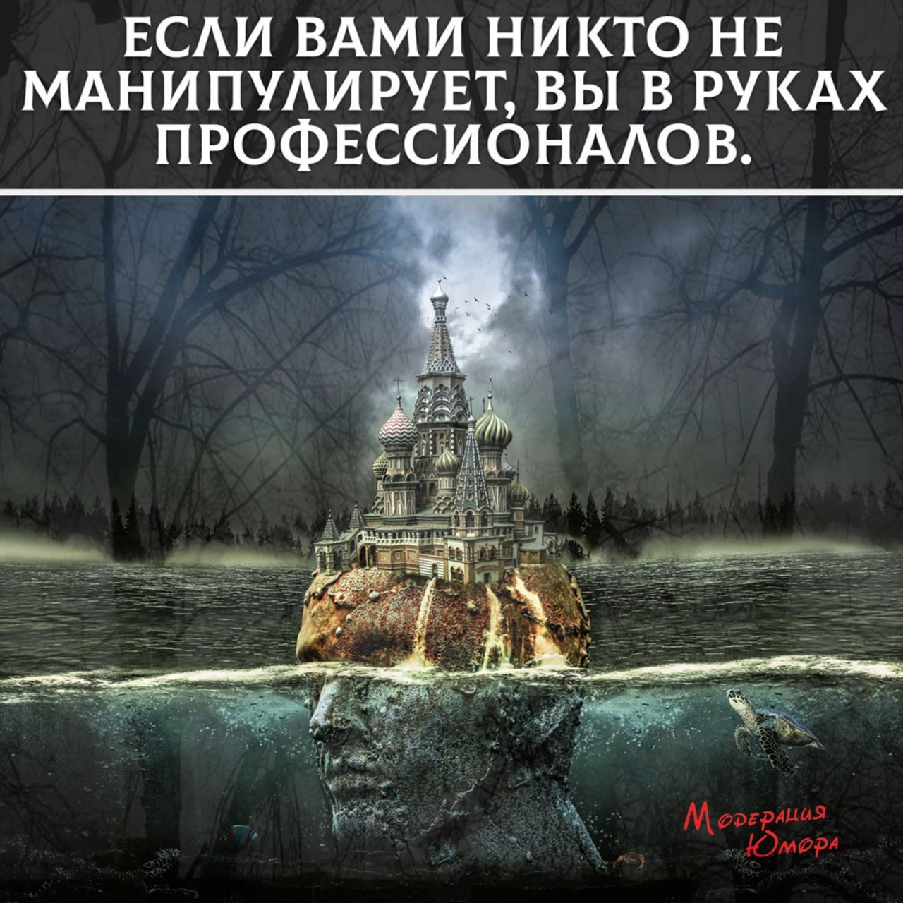 maloletok 