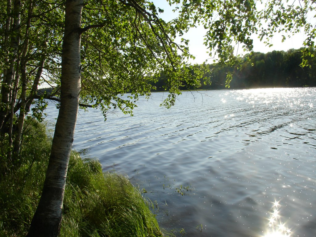 Озеро виша