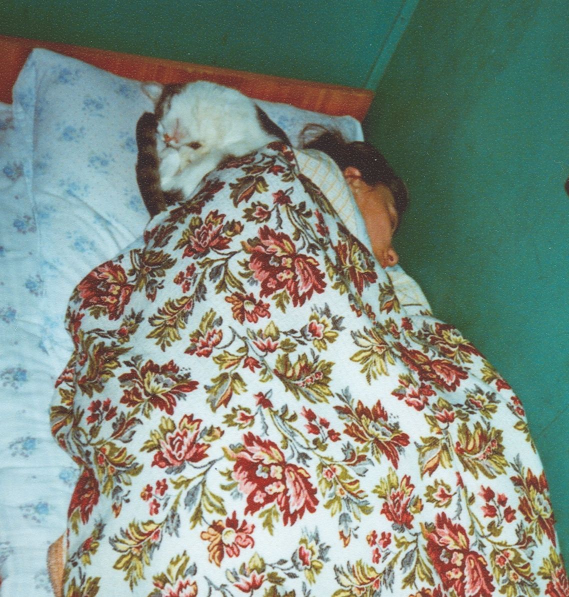 в луче света. знакомые места из снов. жуткая комната. места из снов.