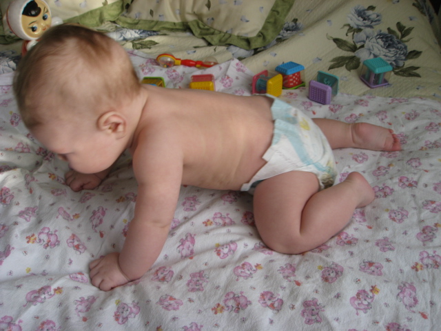 Почему малыш 6 месяцев. Ребенок встает на четвереньки. Ребёнок 7 месяцев встает на четвереньки и раскачивается. Раскачивание на четвереньках грудничка. Ребенок встал на четвереньки 5 месяцев.