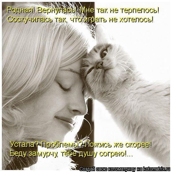 Давайте делиться позитивом. Стихи про кошек.