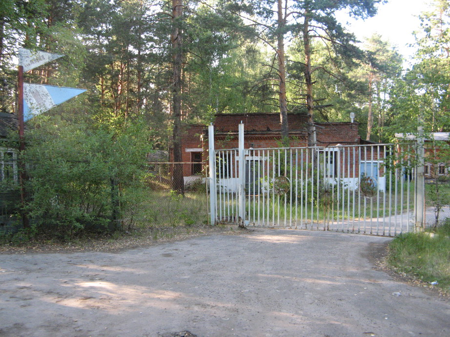 Лагерь чайка нижегородская область зеленый город