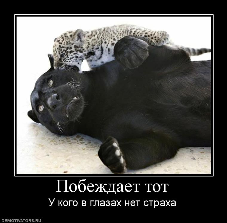 Так победим картинки