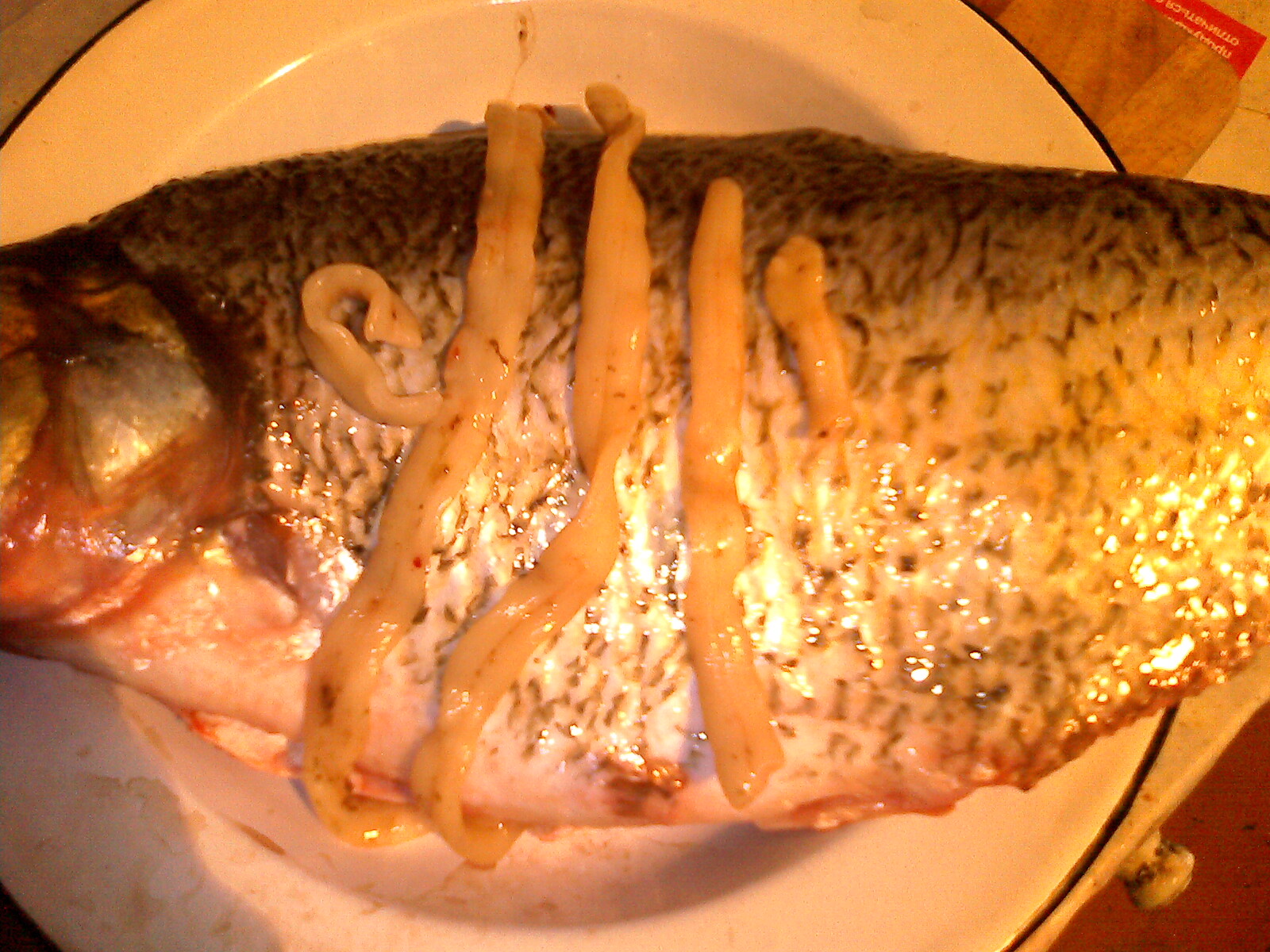 Как выглядит солитер в рыбе. Селитерный ленточный червь. Селитерный ленточный червь. Описторхоз (описторхи). Селитерный ленточный червь.