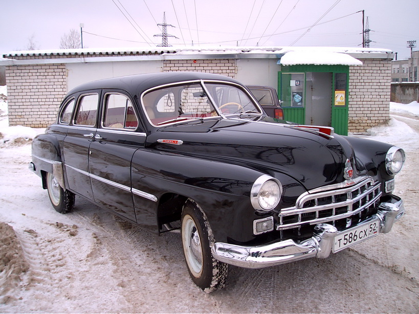 Чайка зим 111