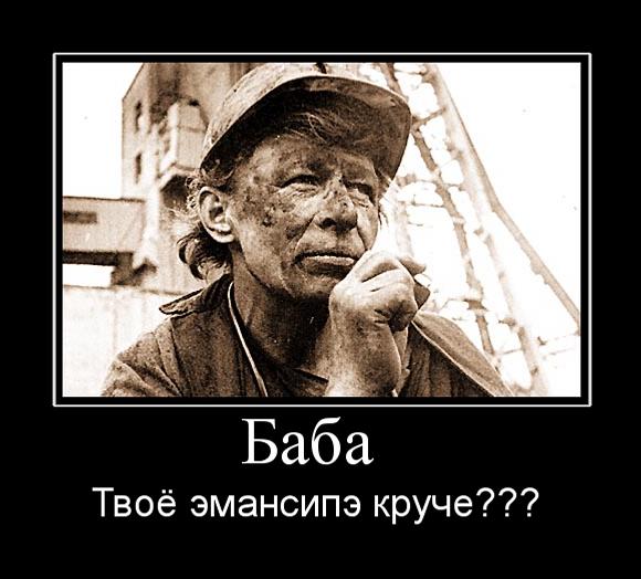 Все бабы дуры картинка