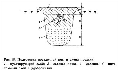 Схема яма 1 класс