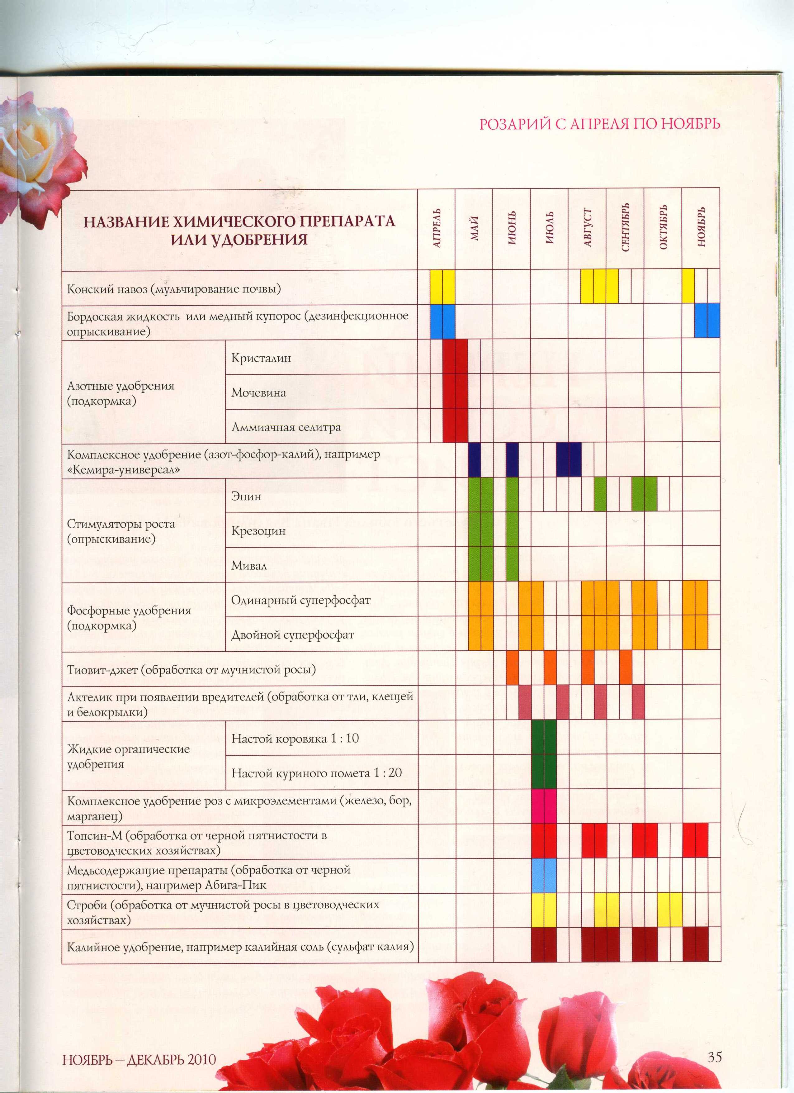 Схема подкормок роз в таблице