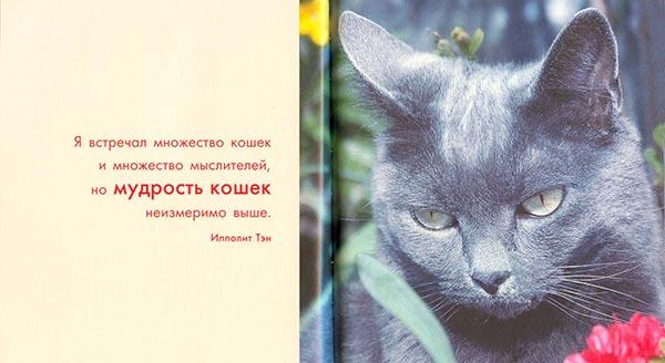 Кошка это