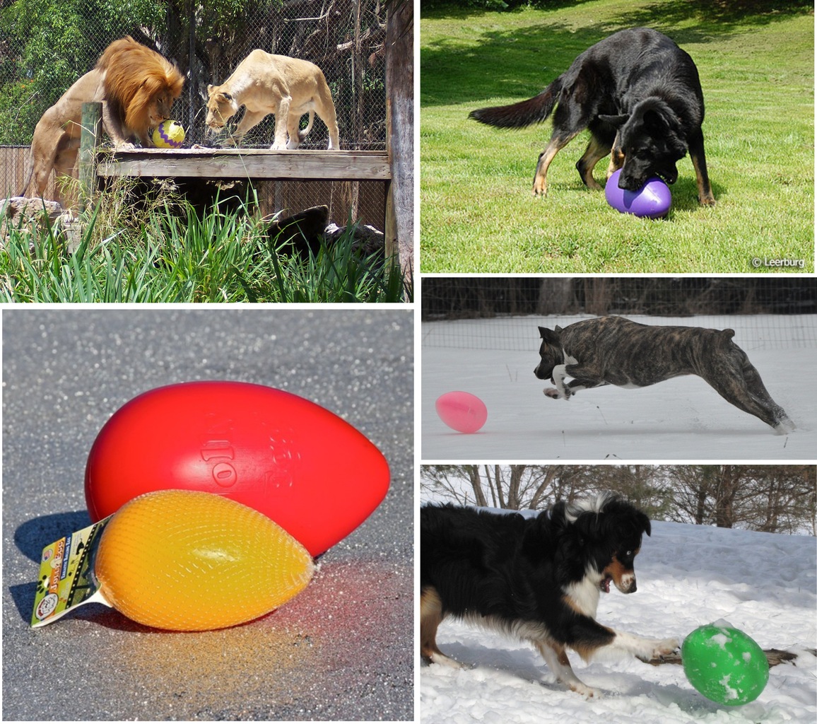 благородный кот. шутки про радугу. нижнекамское водохранилище рыбалка. ручные тарелки с надписями. поймала получается.