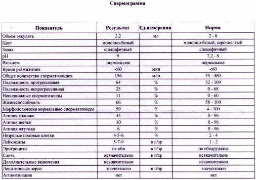 Нормоспермия. Спермограмма нормоспермия. Нормоспермия результат спермограммы. Спермограмма нормозооспермия. Морфология по Крюгеру норма.