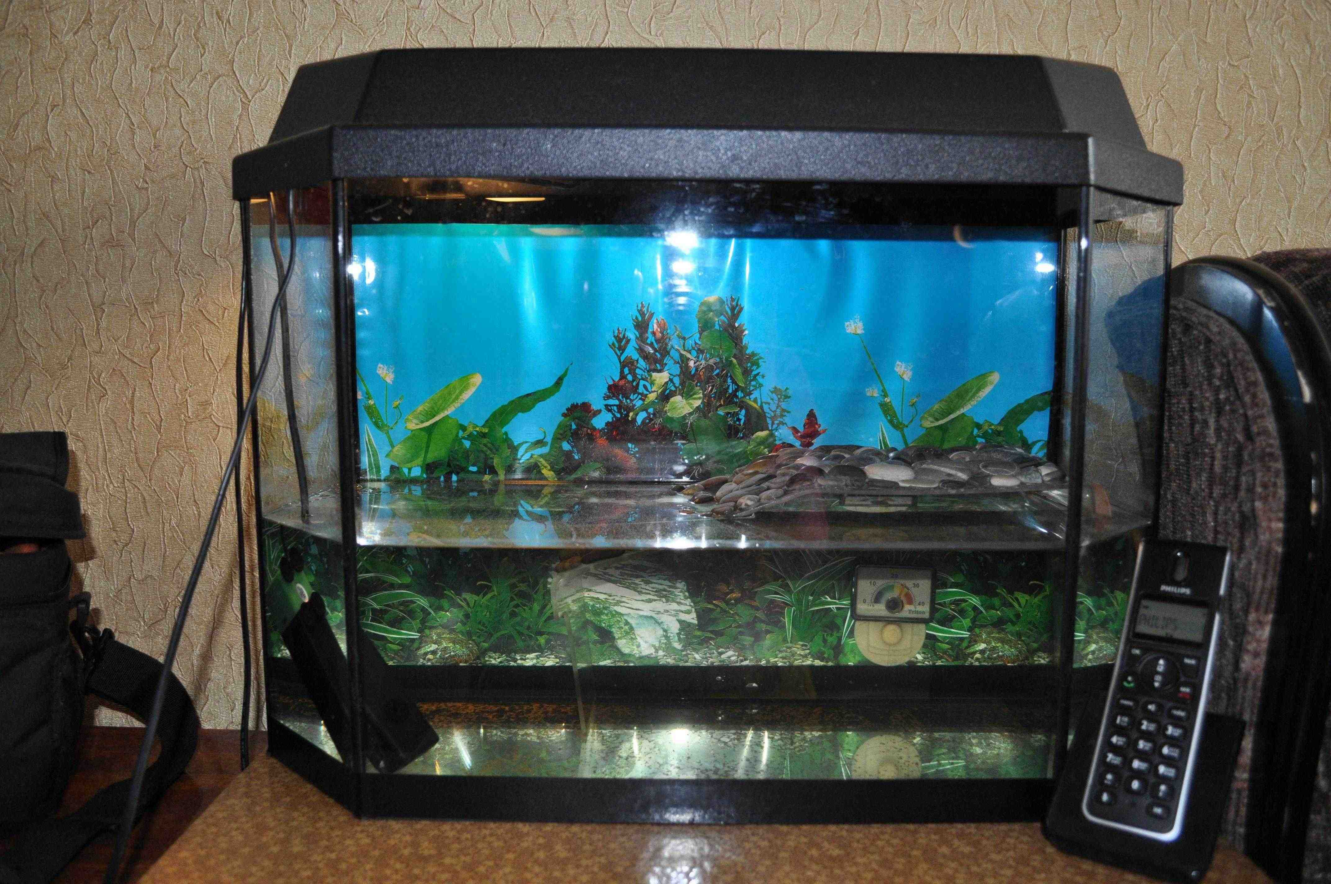 Авито аквариум для черепахи. Аквариум Tetra 50л. Аквариум 50 литров. Аквариум 550 литров. Аквариум 30 литров Черепашки Размеры.
