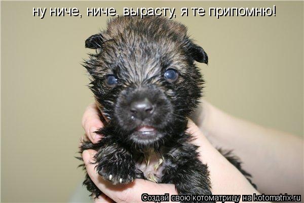 Мальчик негр. Шутки про память. Ну ничё ничё. Припомню тебе. Я припомню.