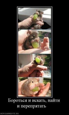 искать найти и перепрятать. открытка бороться искать найти и перепрятать. искать найти и перепрятать. сталкер карикатура. искать найти и перепрятать.