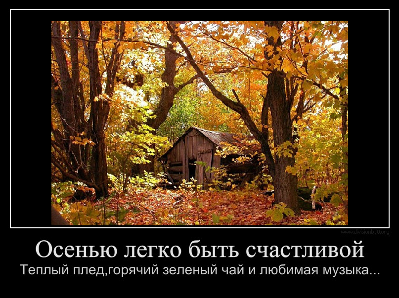 Шутки Про Осень Смешные