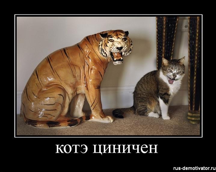 Часики, смешные картинки цинизм