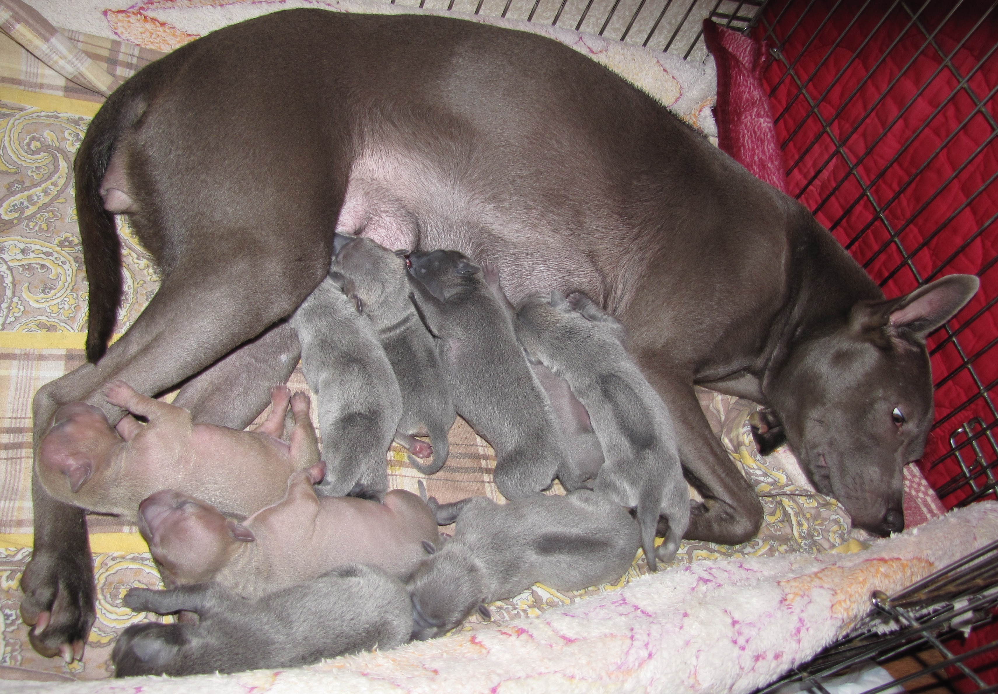 Подготовка к родам