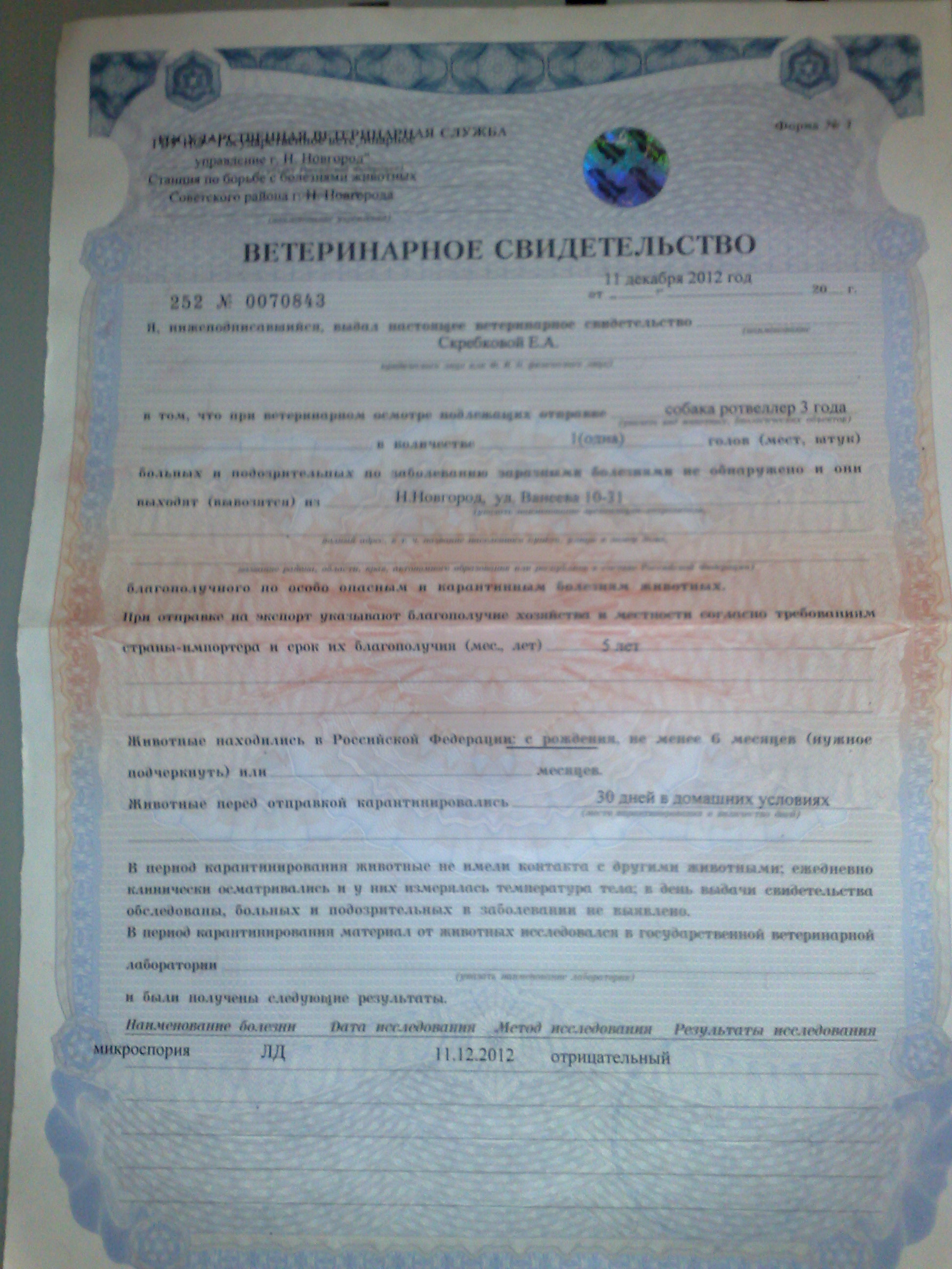 Образец ветеринарного свидетельства форма 1