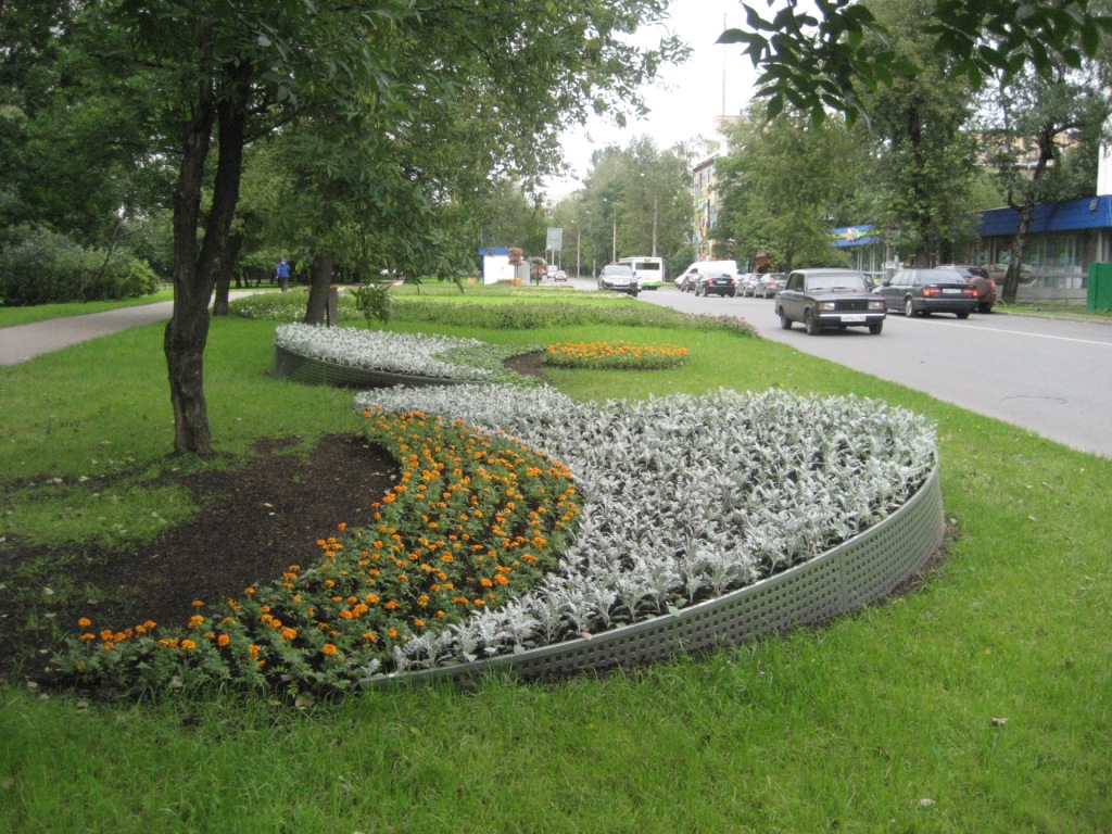Проект городской клумбы