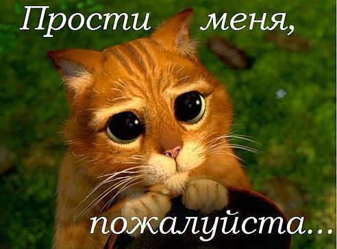картинки прости меня идиотку