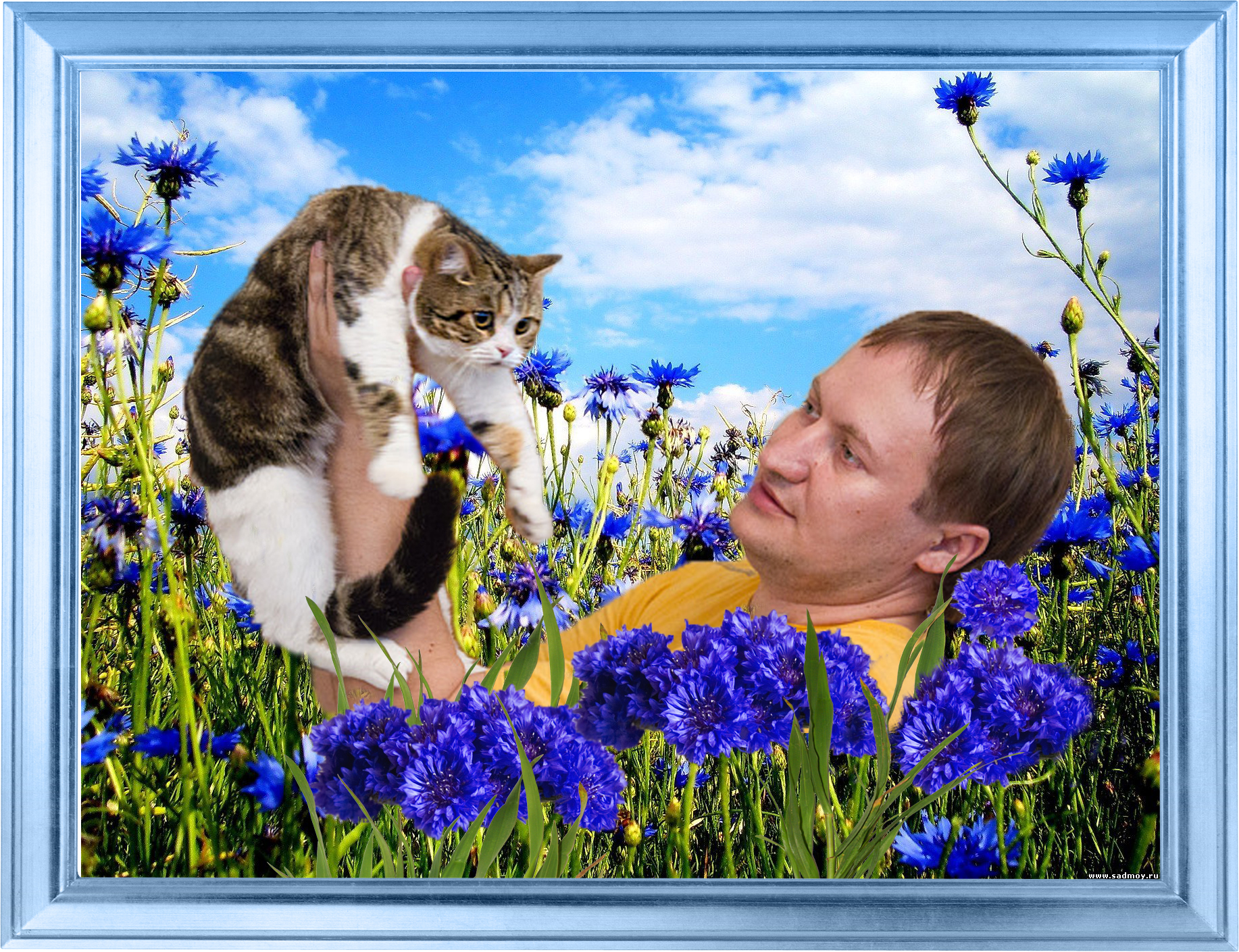 в васильках что росли у забора вдруг. прокудин-горский васильки во ржи. василькове поля ярославль. васильковое поле беларусь. русский язык 7 класс рыбченкова гдз.