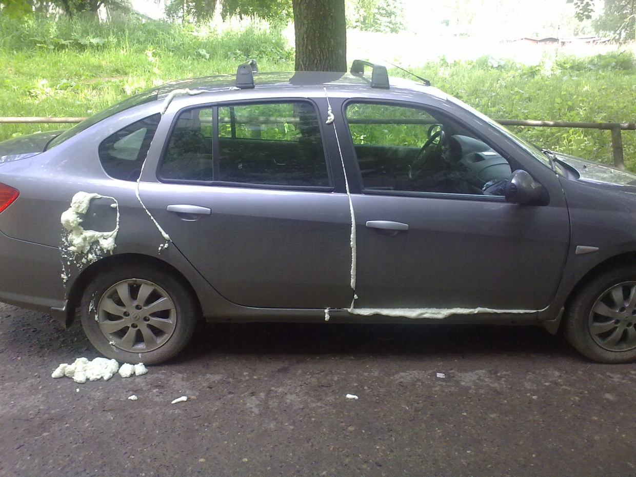 v mashine zavelas mysh kak ee ottuda