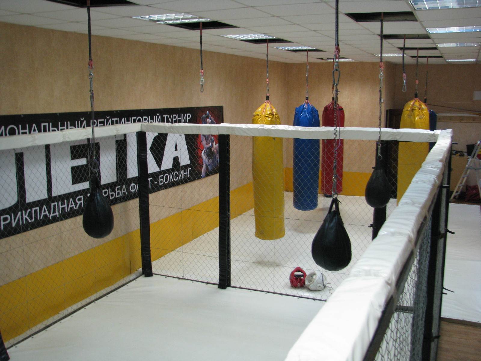 Единоборства и фитнес нижний новгород улица. Зал ММА В Нижнем Новгороде. ММА Нижний Новгород секции. ММА клуб в Нижнем Новгороде. Клуб Файтбоксинг Нижний Новгород.