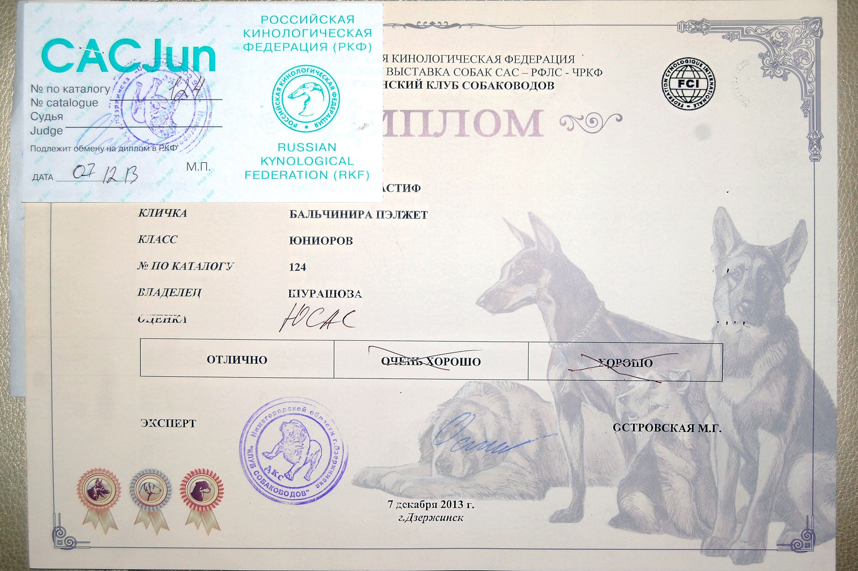 Заявка на присвоение титулов ркф образец заполнения