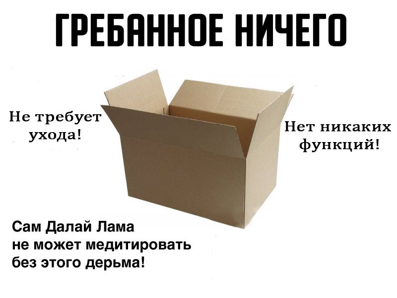 84063027-nicto.jpg