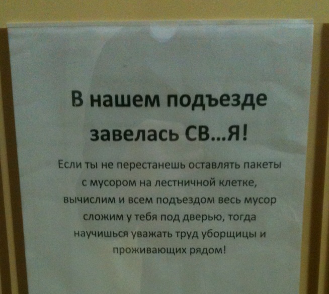 Свинья в подъезде картинки