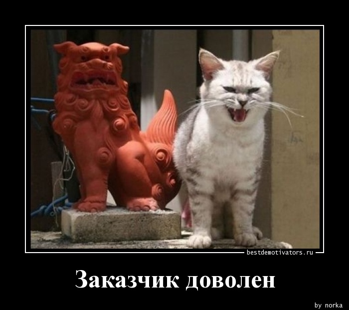 Злой Кот Демотиватор