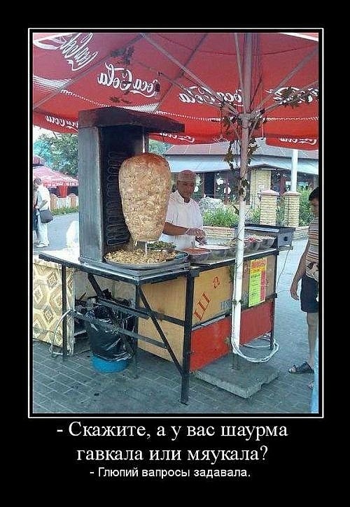 Прикольные картинки с шаурмой