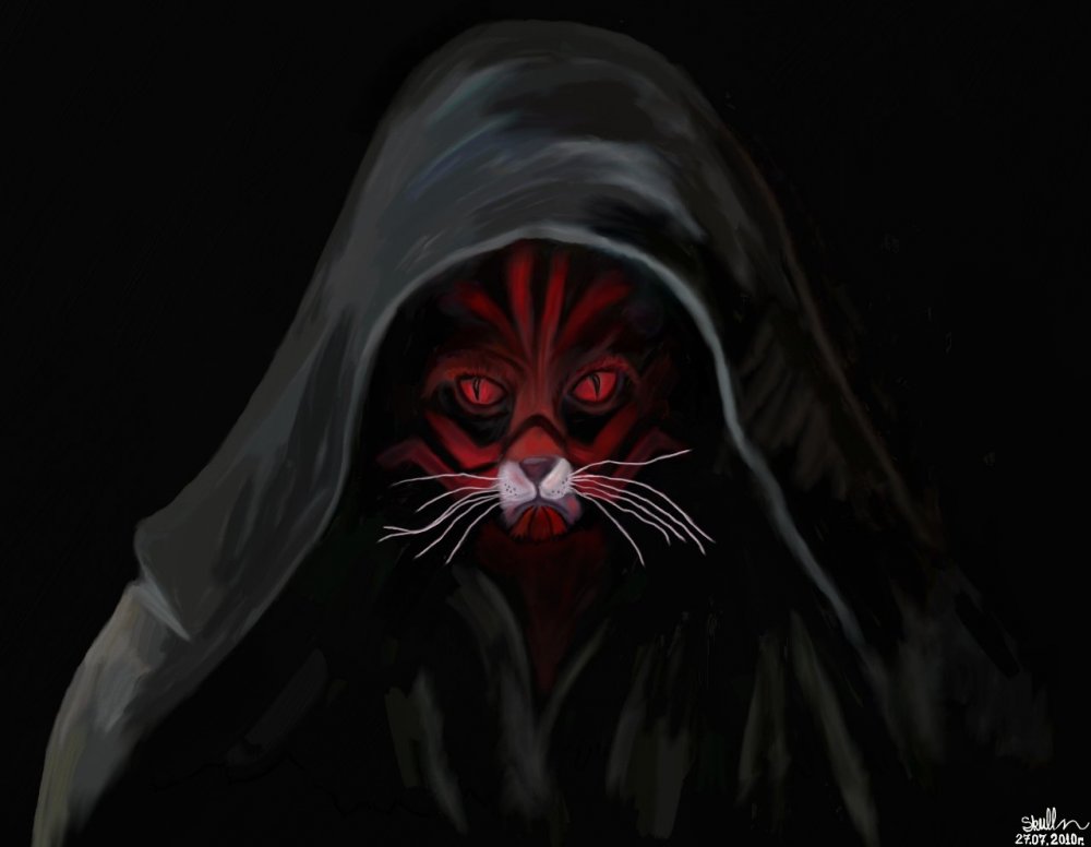 Кот ситх картинки
