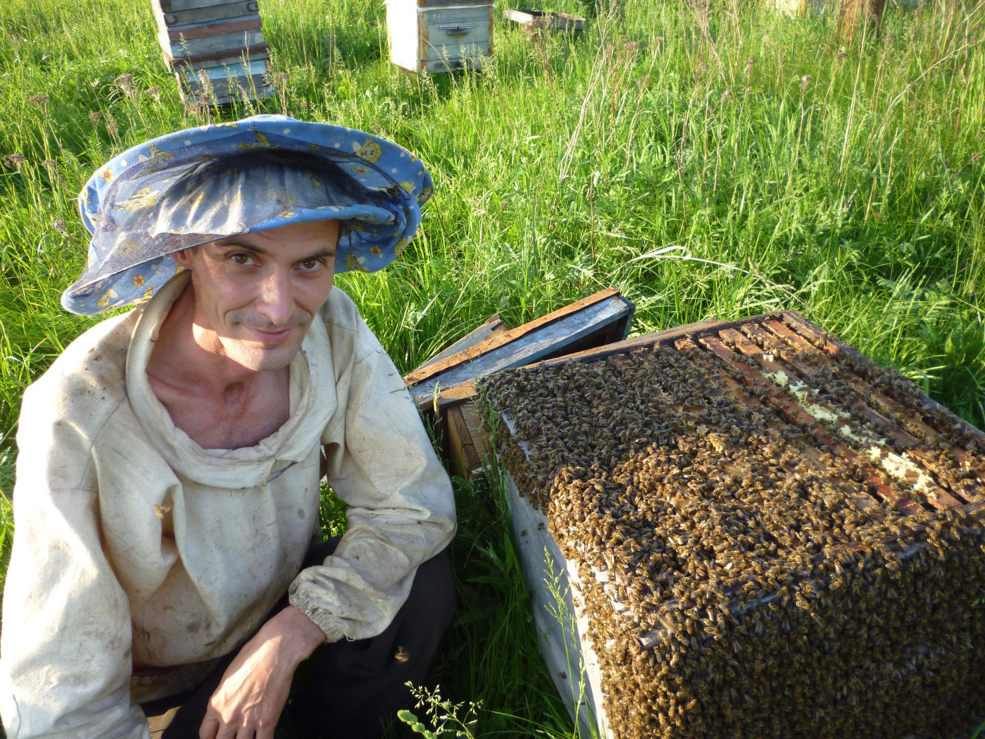 Купить пчелосемьи в белгородской области. Пасечник пчеловод. Человек на пасеке. Девушка пчеловод. Пчеловодство Мордовии.