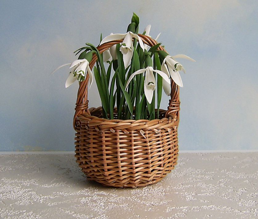 Купить Живые Подснежники В Горшке В Мурманске