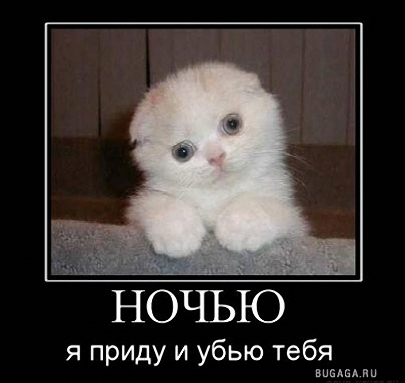 Картинки убью с приколами, юбилеем лет