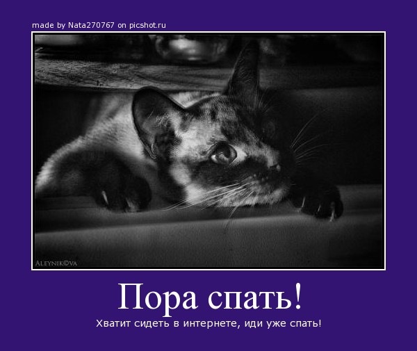 Спать всем пора картинки