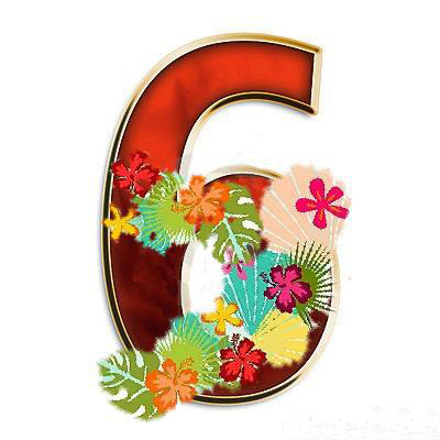 Красивая цифра шесть с цветами. Цифра 6 открытка. Вафельная картинка цифры. Вафельная картинка цифра 6