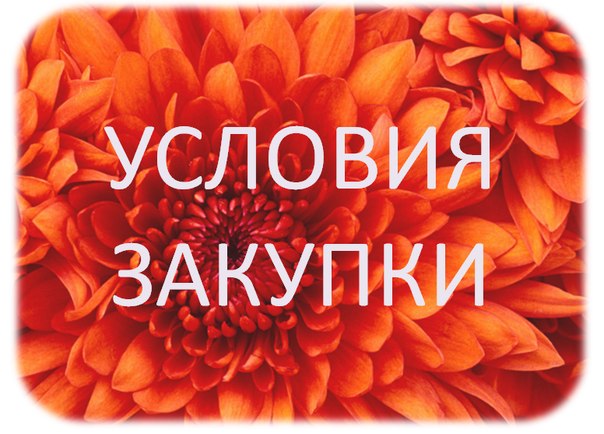 Условия Покупки В Интернет Магазине